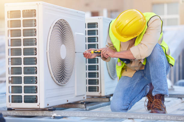 Best Local HVAC Companies  in La Paloma, TX